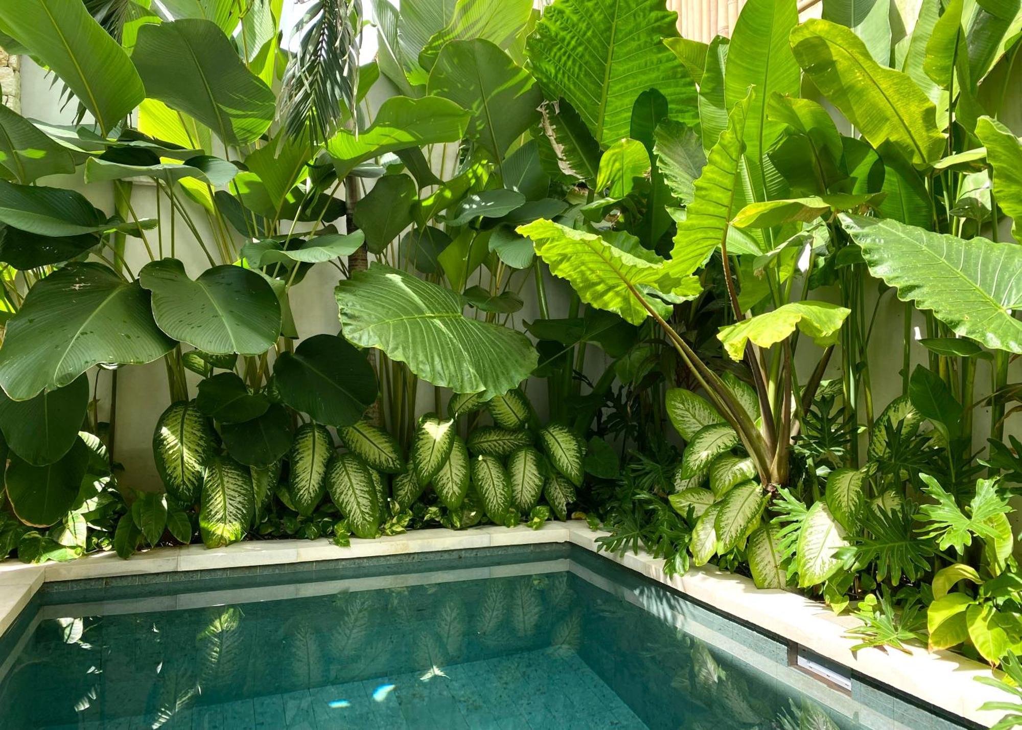Alma Bingin Boutique Hotel Uluwatu Екстериор снимка
